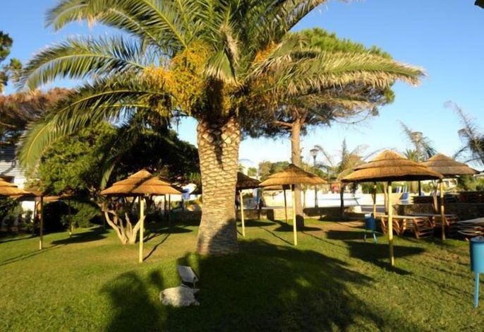 Bild 15