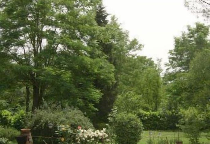 Bild 29