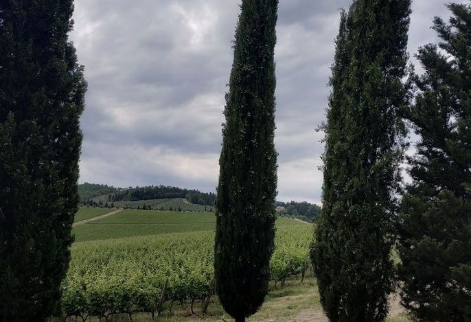 Leonardo's Rooms – Foto 2