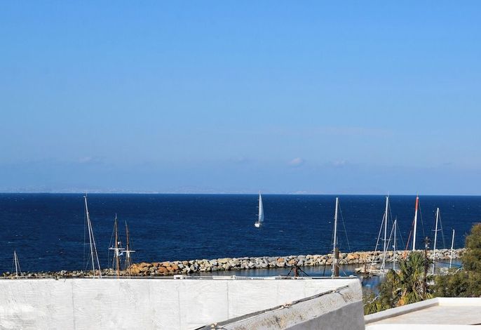 Bild 63
