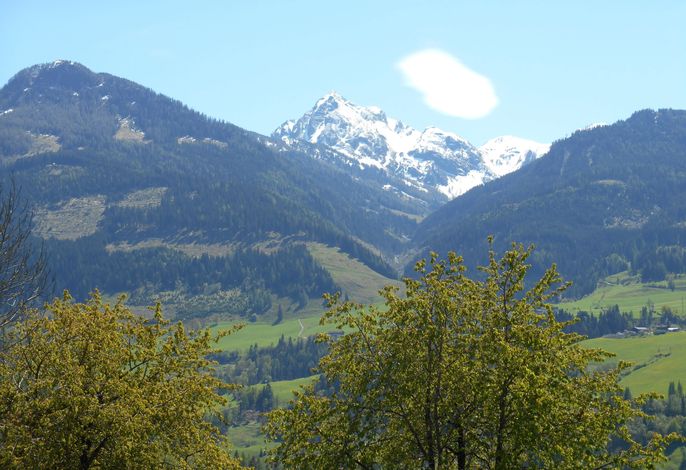 Bild 21