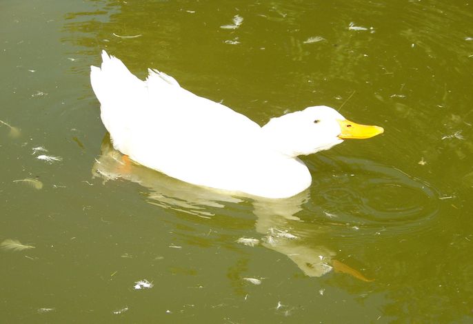 Bild 14