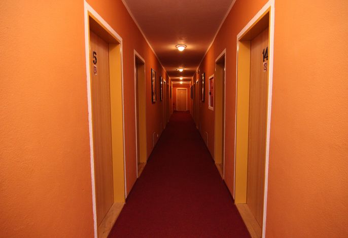 Bild 17