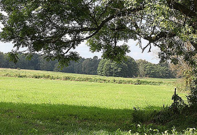 Bild 19