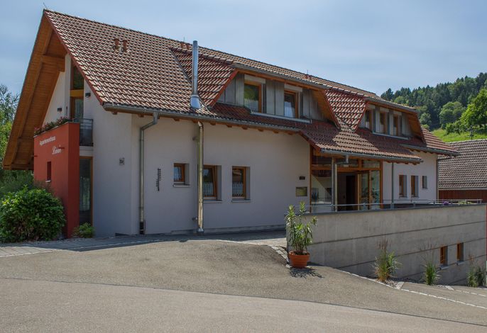 Bild 12