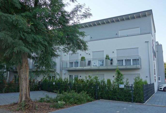Bild 15