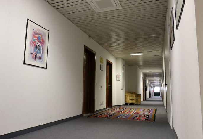 Bild 19