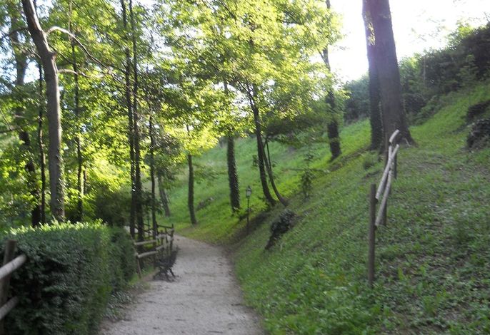 Bild 55