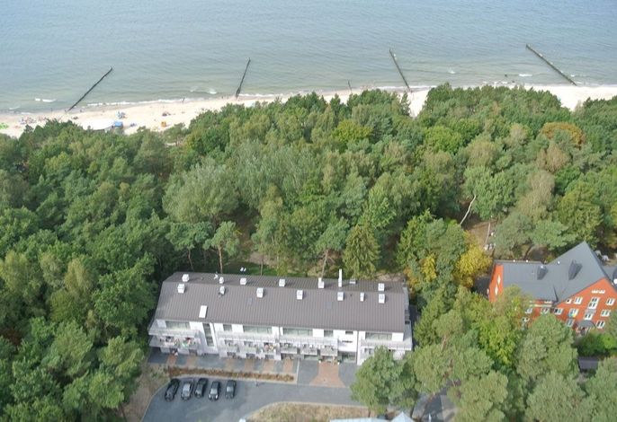 Bild 49