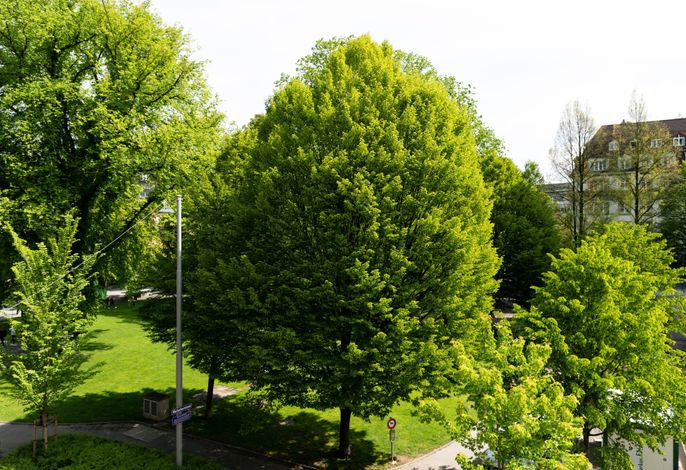 Bild 22