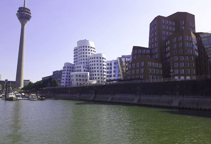 Bild 46