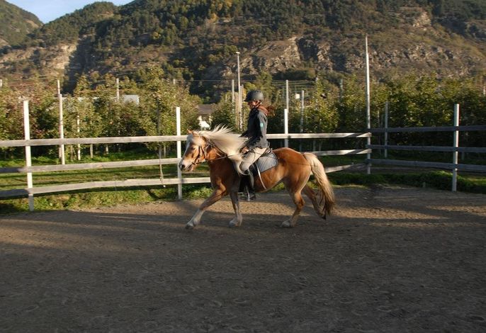 Bild 53