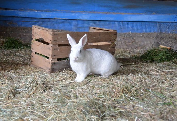 Bild 16