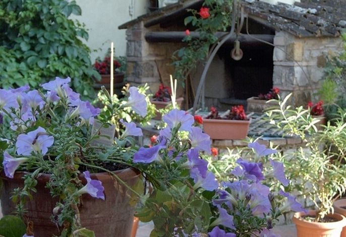 Bild 22