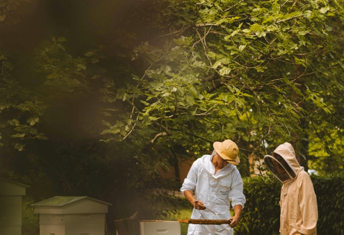Bild 40