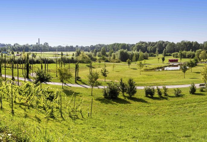 Bild 9