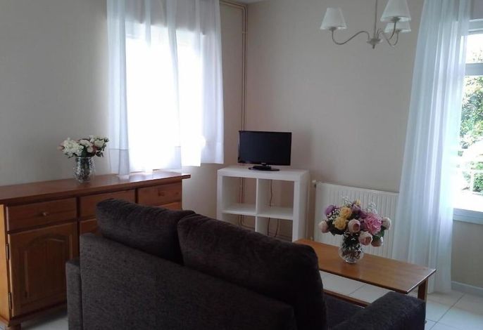 Bild 15