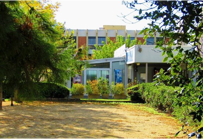 Bild 25