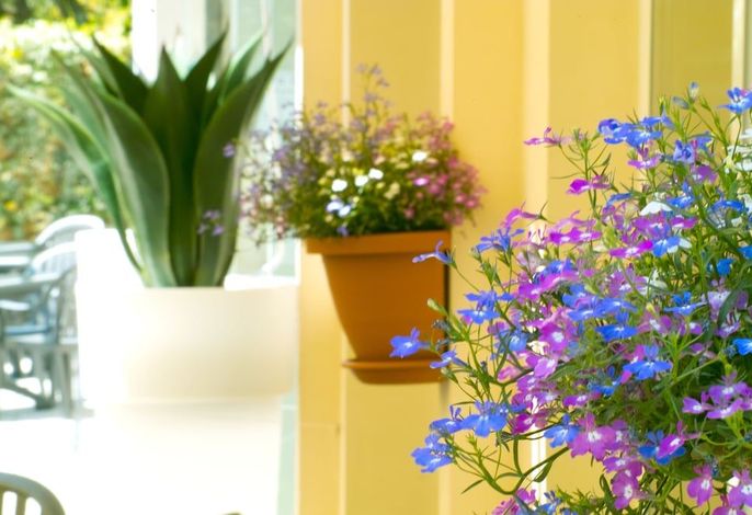 Bild 53