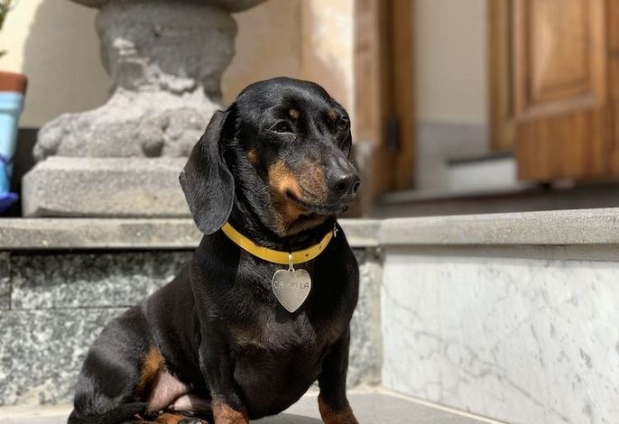 Bild 32