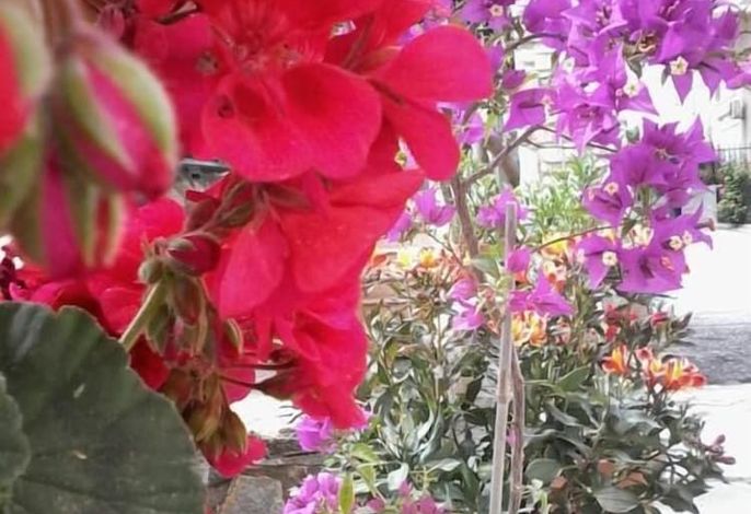 Bild 15