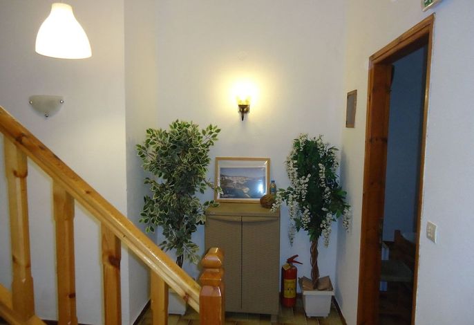 Bild 41