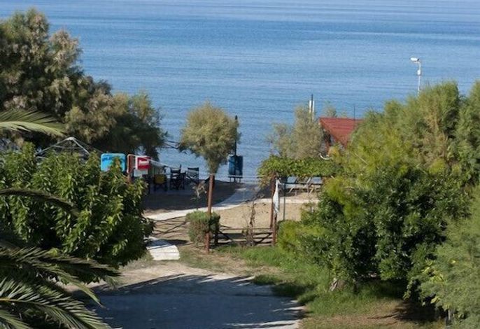 Bild 52