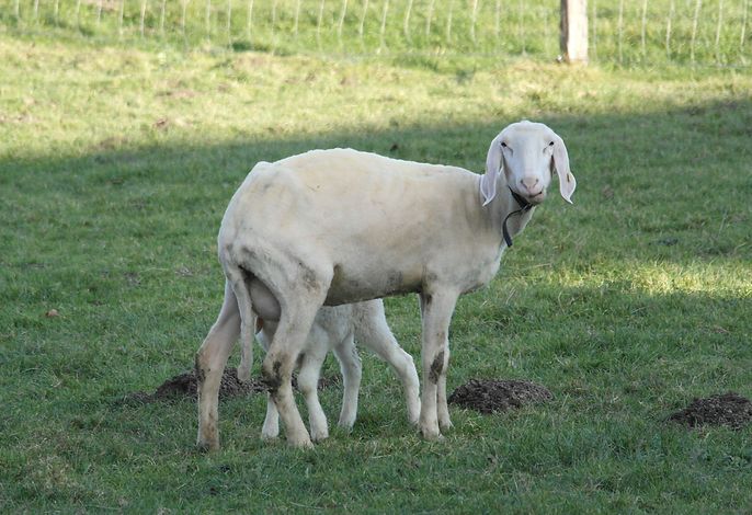 Bild 16