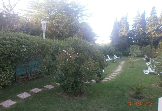 Bild 62