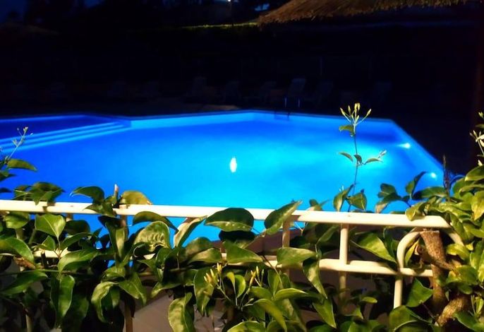 Bild 37
