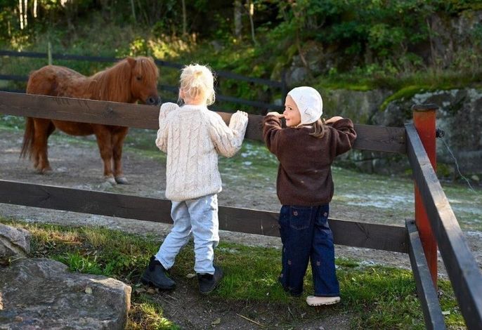Bild 88