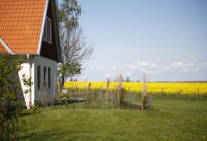 Bild 37