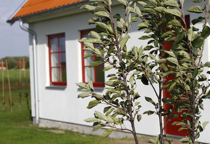 Bild 13