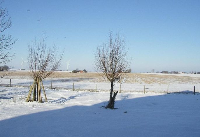 Bild 24