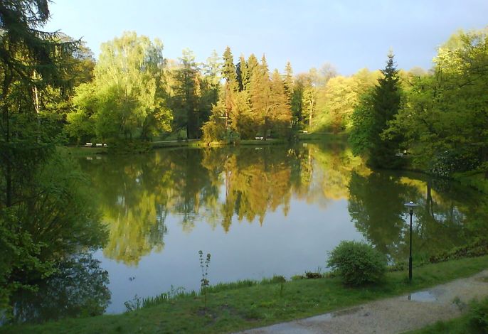 Bild 13