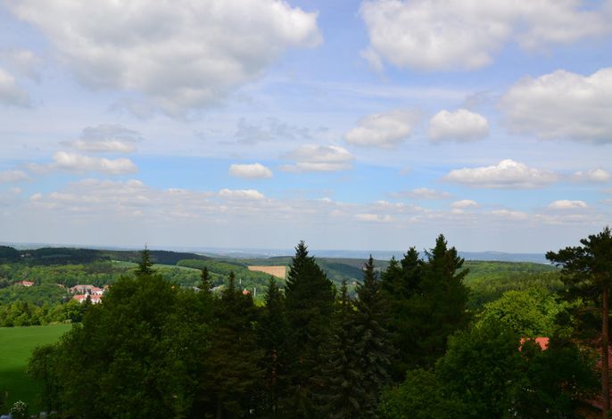 Bild 15