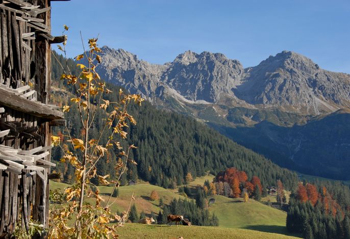 Bild 13