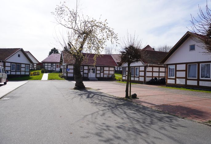 Bild 19