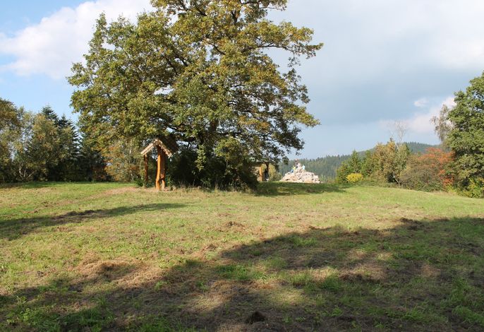 Bild 17