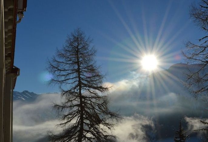 Bild 56
