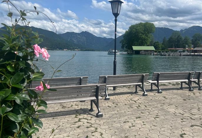 Bild 17