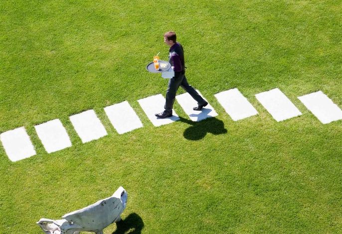 Bild 43