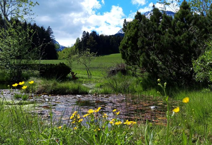Bild 15