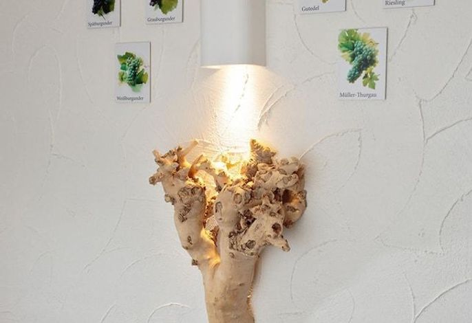 Bild 21