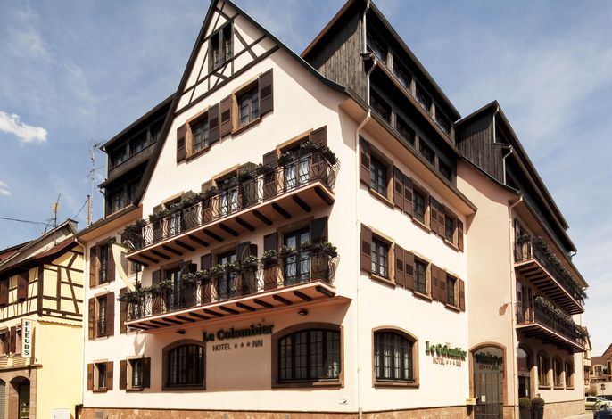 Bild 12