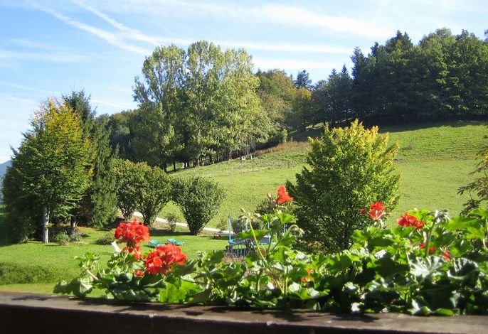 Bild 22