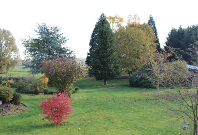 Bild 12