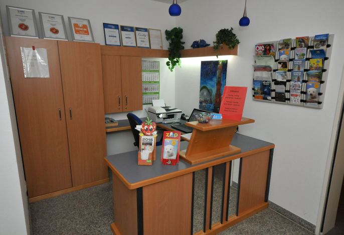 Bild 13
