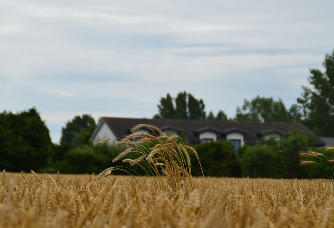 Bild 22