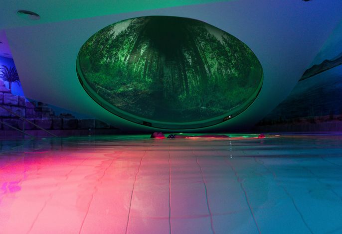 Bild 7